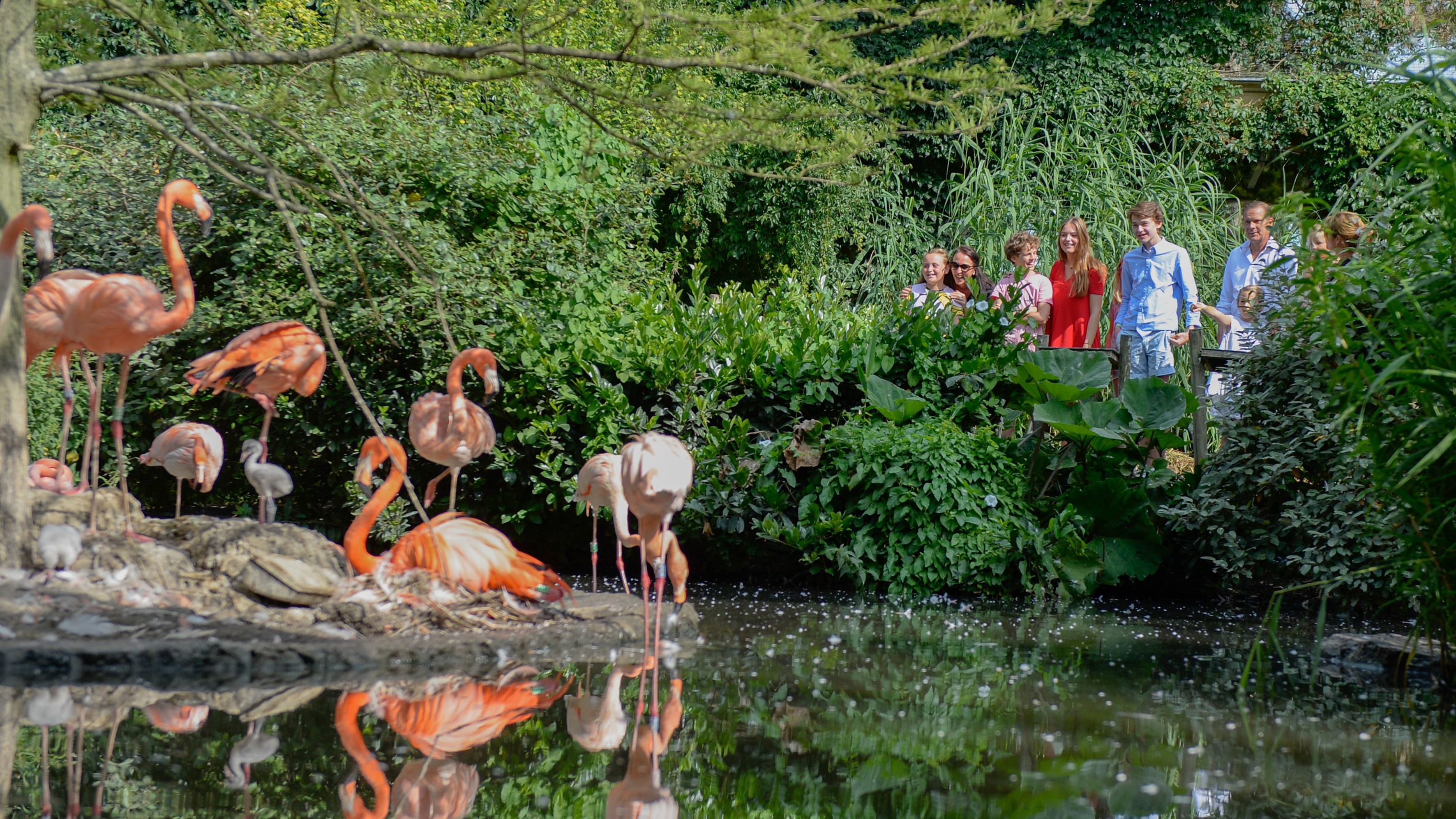 Surrounding Places Logeren