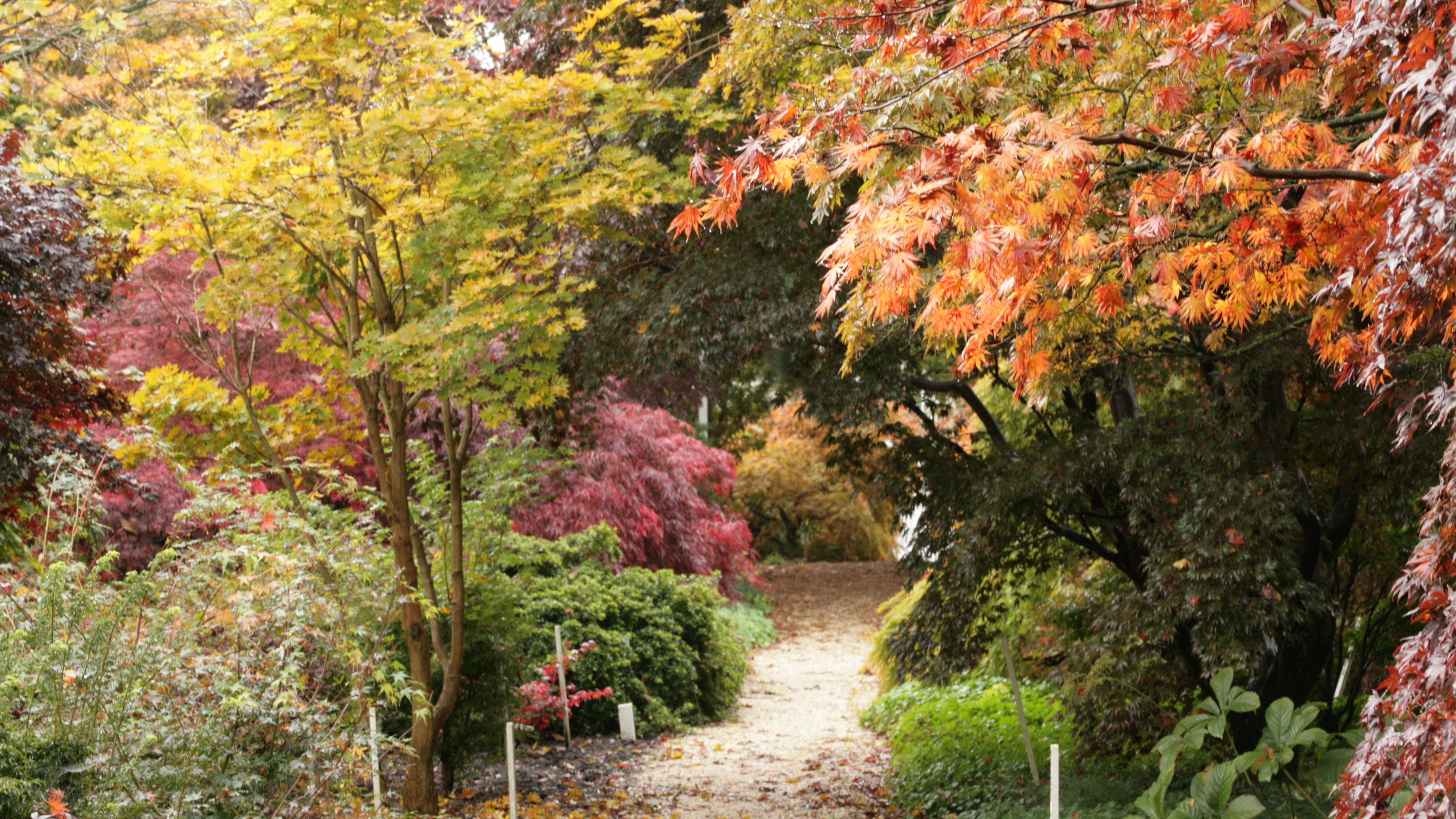 Surrounding Places Logeren
